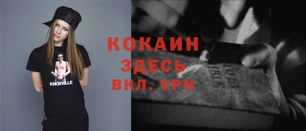 стафф Алзамай