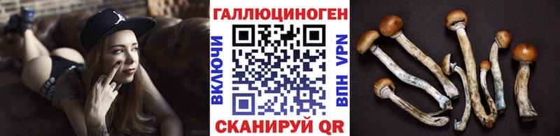 Псилоцибиновые грибы Magic Shrooms  Беслан 