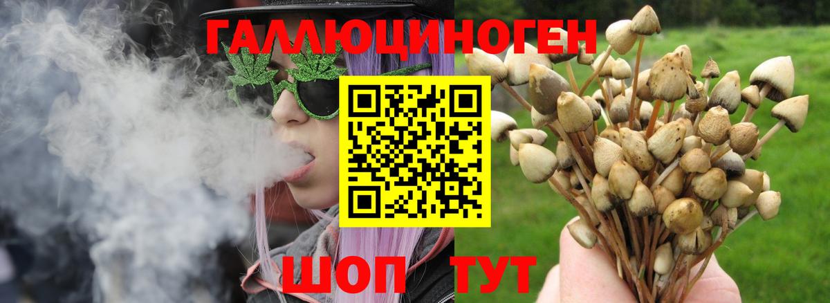 магазин  наркотиков  Псилоцибиновые грибы GOLDEN TEACHER  Вход с VPN  Галлюциногенные грибы мухоморы  Беслан 