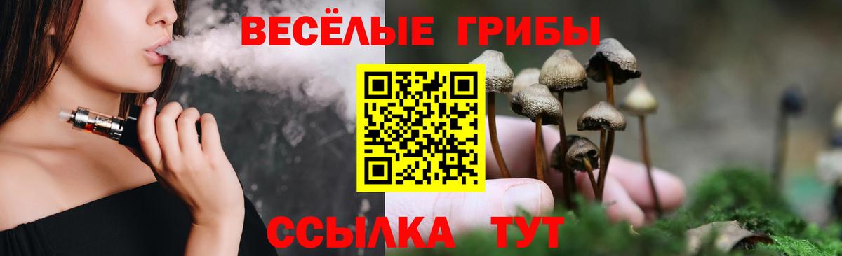 Галлюциногенные грибы Cubensis Беслан